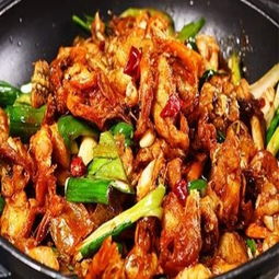 牛蛙愛上蝦產品 牛蛙愛上蝦產品圖片 牛蛙愛上蝦怎么樣 最新牛蛙愛上蝦產品展示